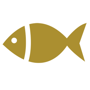 fish icon