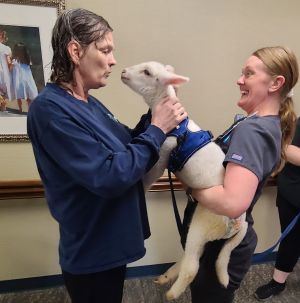 Resident and CNA with lamb animal
